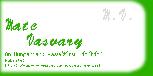 mate vasvary business card